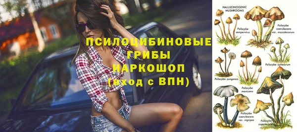стаф Алексин