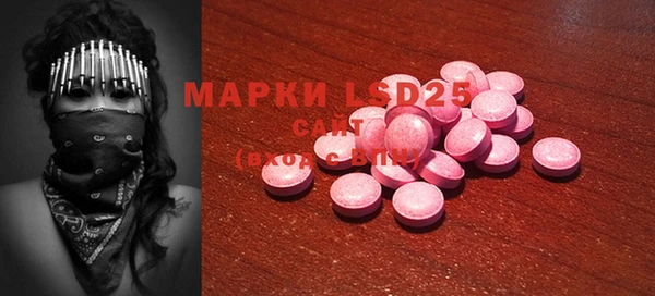 стаф Алексин