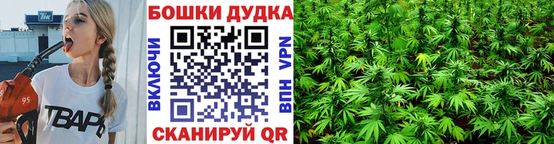 Конопля план МЕГА зеркало Пролетарск